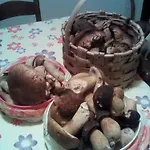 La Casa Della Nonna