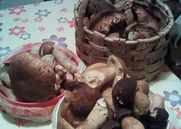 La Casa Della Nonna