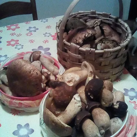 La Casa Della Nonna